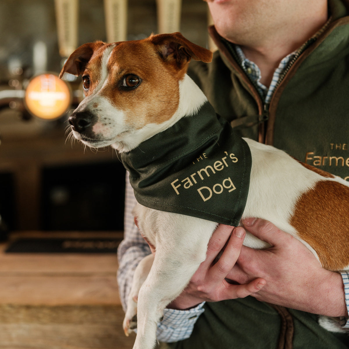 Kitchen | The Farmer's Dog Shop