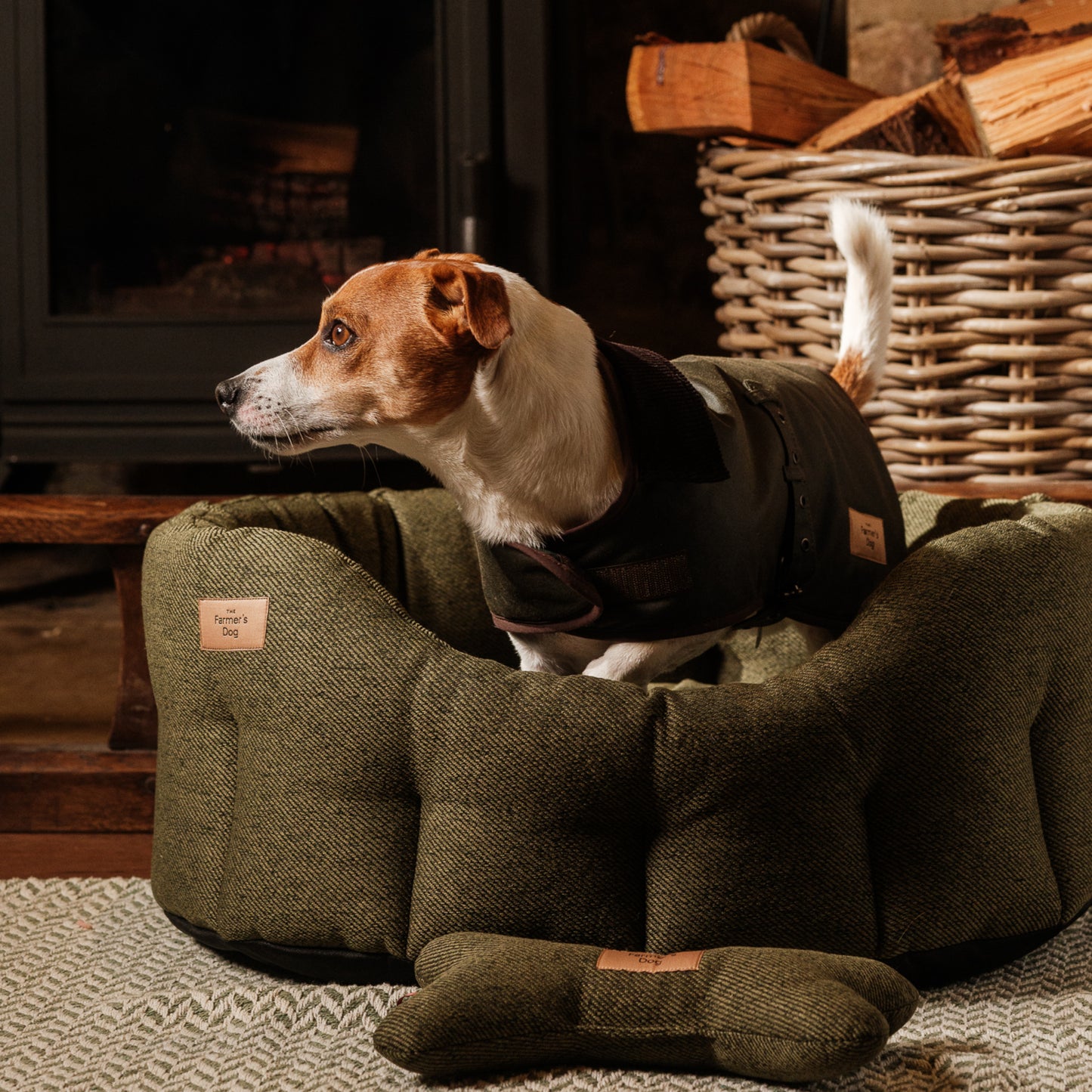 The Farmer's Dog Bed