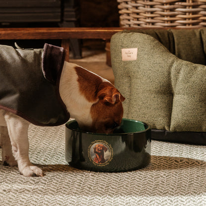 The Farmer's Dog Enamel Dog Bowl