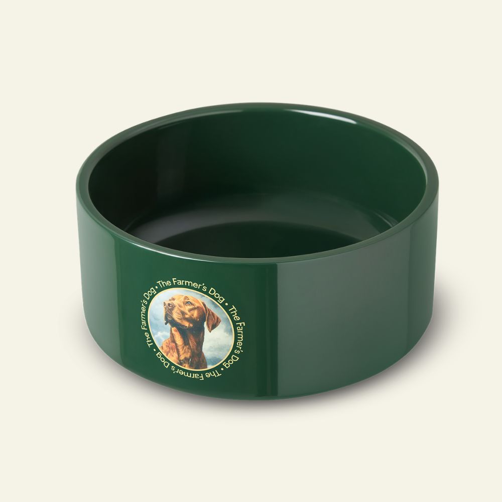 The Farmer's Dog Enamel Dog Bowl